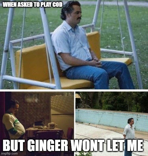 FML | WHEN ASKED TO PLAY COD; BUT GINGER WONT LET ME | image tagged in me waiting for | made w/ Imgflip meme maker