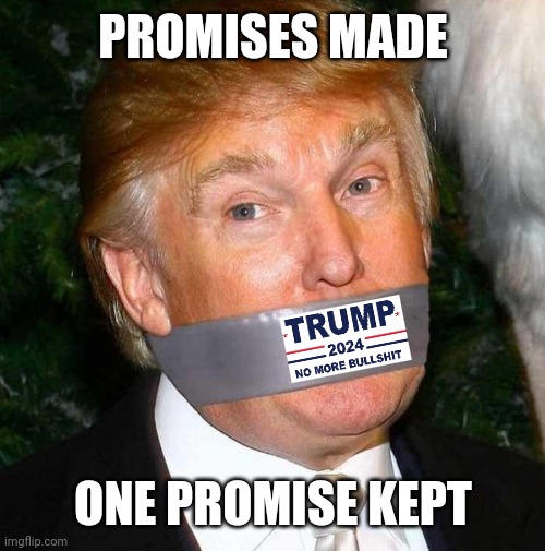 If only... | PROMISES MADE; ONE PROMISE KEPT | image tagged in trump duct tape mouth,bullshit artist,blathering idiot,will you shut up man | made w/ Imgflip meme maker