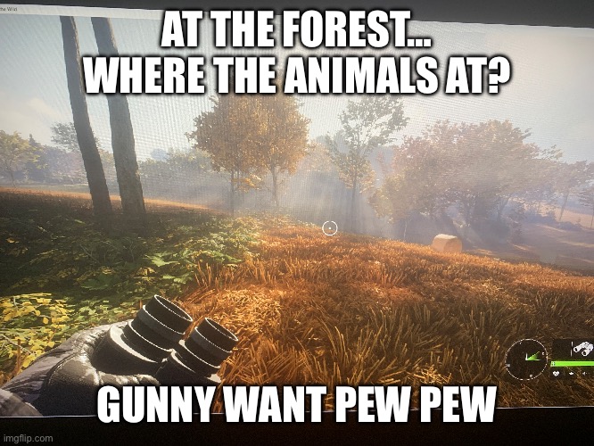 AT THE FOREST… WHERE THE ANIMALS AT? GUNNY WANT PEW PEW | made w/ Imgflip meme maker