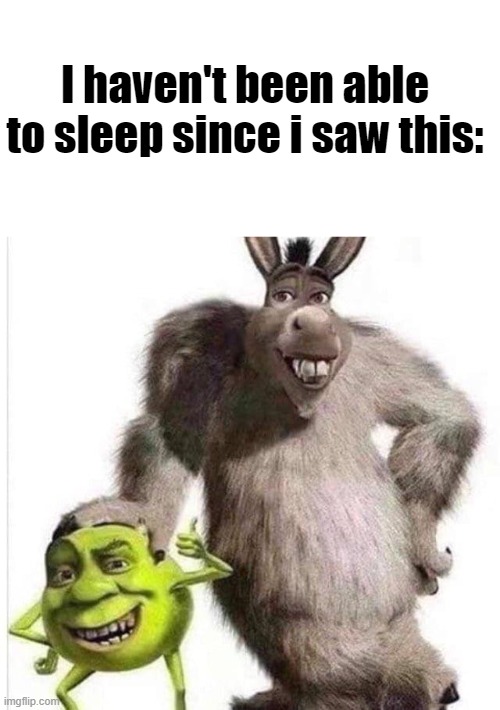 Any help? | I haven't been able to sleep since i saw this: | image tagged in memes,shrek,donkey,donkey from shrek | made w/ Imgflip meme maker