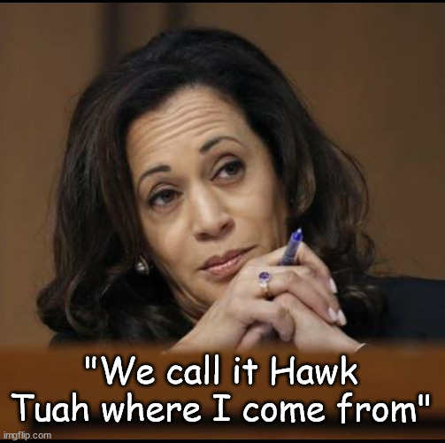 Kamala Harris  | "We call it Hawk Tuah where I come from" | image tagged in kamala harris | made w/ Imgflip meme maker