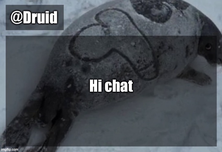 Old announcement temp | Hi chat | image tagged in y | made w/ Imgflip meme maker