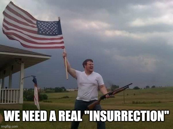 American flag shotgun guy | WE NEED A REAL "INSURRECTION" | image tagged in american flag shotgun guy | made w/ Imgflip meme maker