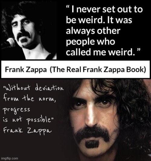 W.E.I.R.D. 69 95 boy, give her a try | image tagged in frank zappa,weird | made w/ Imgflip meme maker