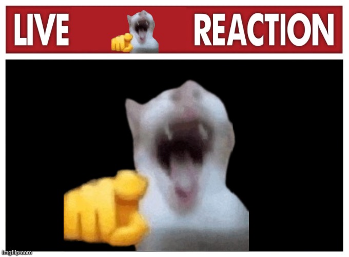 Live reaction | image tagged in live reaction | made w/ Imgflip meme maker