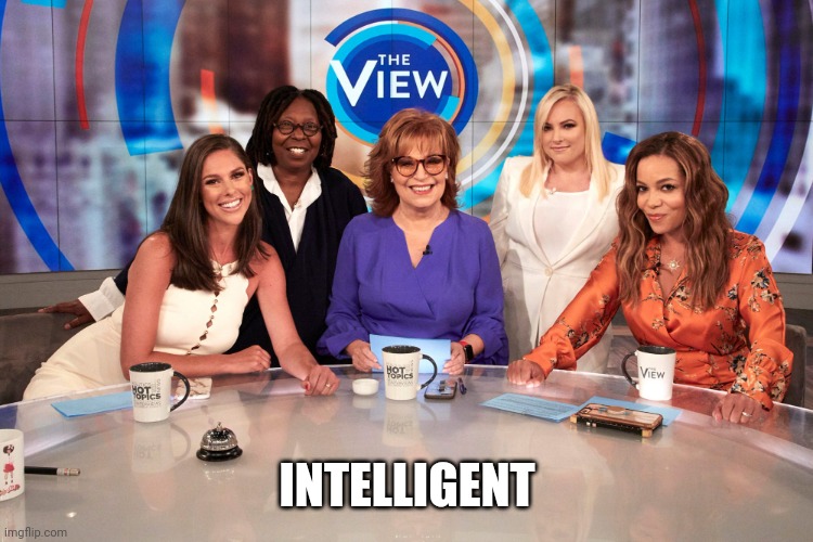 The View | INTELLIGENT | image tagged in the view | made w/ Imgflip meme maker