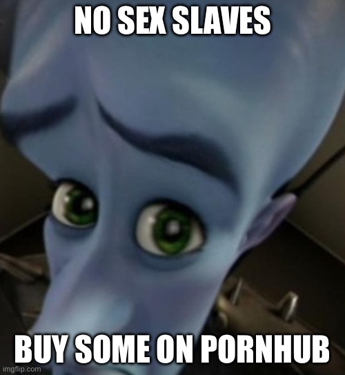 Megamind no bitches | NO SEX SLAVES; BUY SOME ON PORNHUB | image tagged in megamind no bitches | made w/ Imgflip meme maker
