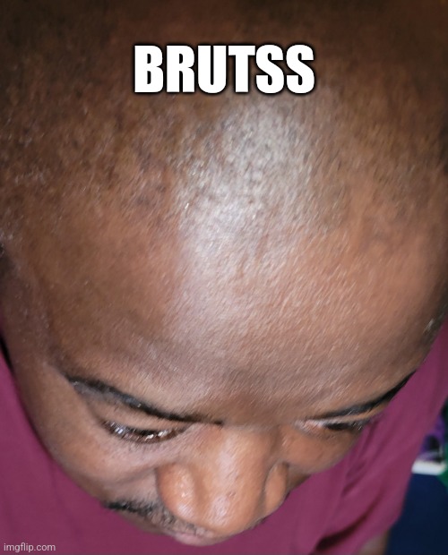 Brutss | BRUTSS | image tagged in funny memes | made w/ Imgflip meme maker