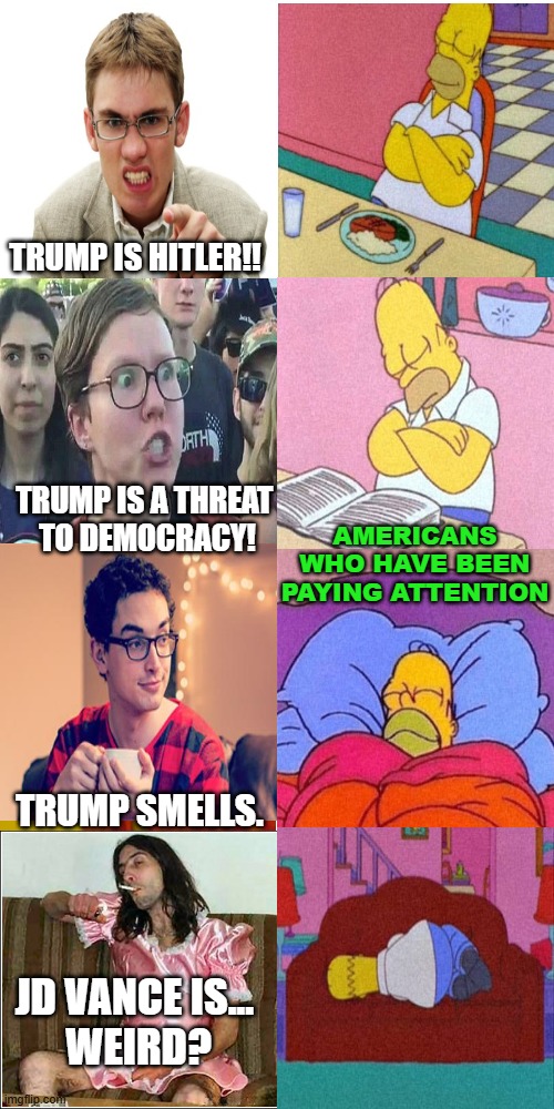 No One Takes These People On The Left Seriously | TRUMP IS HITLER!! AMERICANS WHO HAVE BEEN PAYING ATTENTION; TRUMP IS A THREAT 
TO DEMOCRACY! TRUMP SMELLS. JD VANCE IS... 
WEIRD? | image tagged in not losing sleep | made w/ Imgflip meme maker
