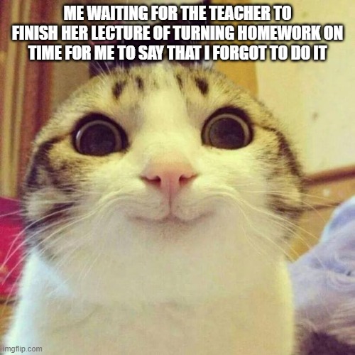 oh the yells i will receive | ME WAITING FOR THE TEACHER TO FINISH HER LECTURE OF TURNING HOMEWORK ON TIME FOR ME TO SAY THAT I FORGOT TO DO IT | image tagged in memes,smiling cat,school,relatable memes,school memes | made w/ Imgflip meme maker