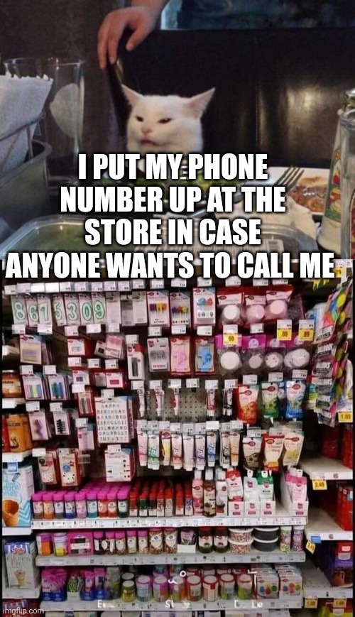 I PUT MY PHONE NUMBER UP AT THE STORE IN CASE ANYONE WANTS TO CALL ME | image tagged in smudge that darn cat | made w/ Imgflip meme maker