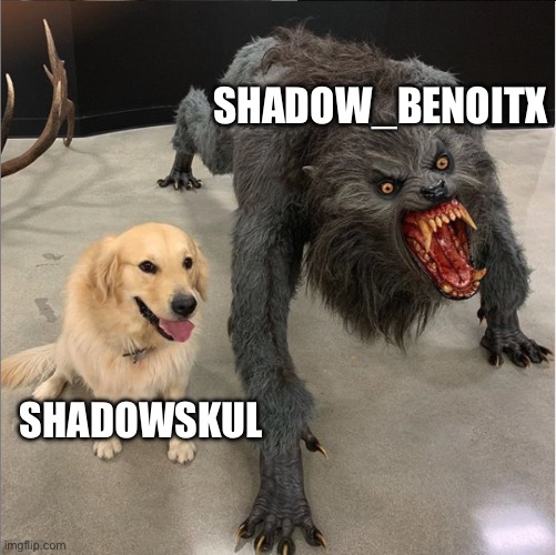 Shadow_BenoitX is extremely toxic and doesn’t let people have opinions ShadowSkul is nice and lets people have opinions | SHADOW_BENOITX; SHADOWSKUL | image tagged in dog vs werewolf | made w/ Imgflip meme maker