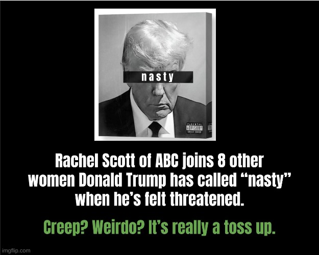 Nasty. Creepy. Weirdo. | image tagged in politics,political memes | made w/ Imgflip meme maker