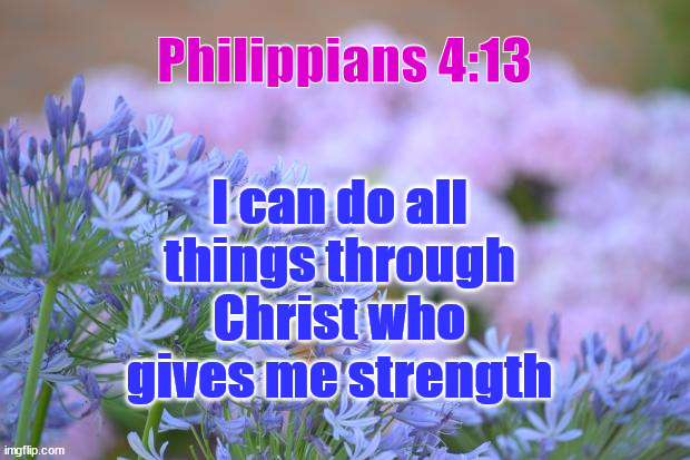 Philippians 4:13 | Philippians 4:13; I can do all things through Christ who gives me strength | image tagged in flowers | made w/ Imgflip meme maker