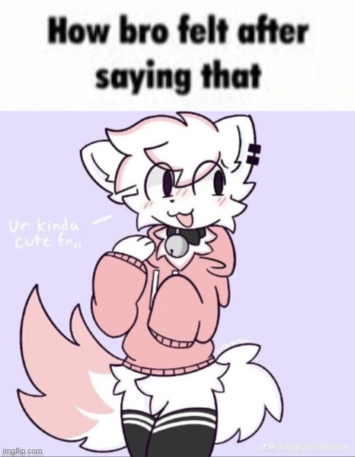 new temp | image tagged in how bro felt after saying that femboy furry edition | made w/ Imgflip meme maker