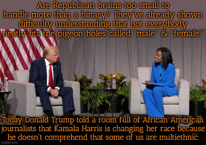 It would be funny if it weren't so offensive. | Are Republican brains too small to handle more than a binary? They've already shown difficulty understanding that not everybody neatly fits the pigeon holes called "male" & "female."; Today Donald Trump told a room full of African American
journalists that Kamala Harris is changing her race because
he doesn't comprehend that some of us are multiethnic. | image tagged in trump nabj,stereotype,hate speech,mocking | made w/ Imgflip meme maker