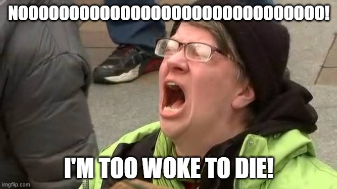 Screaming Trump Protester at Inauguration | NOOOOOOOOOOOOOOOOOOOOOOOOOOOOOO! I'M TOO WOKE TO DIE! | image tagged in screaming trump protester at inauguration | made w/ Imgflip meme maker