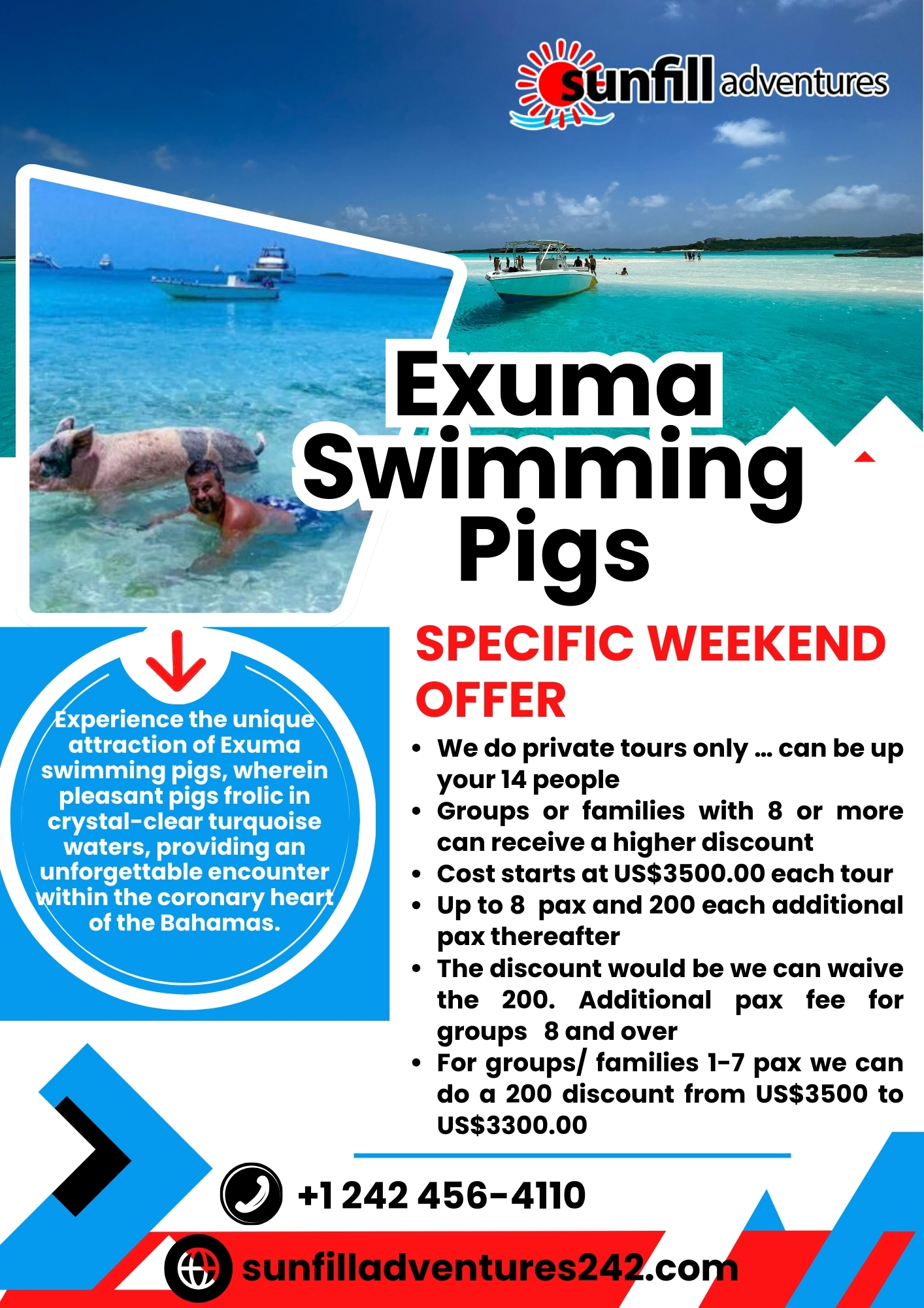 Exuma Swimming Pigs Blank Meme Template