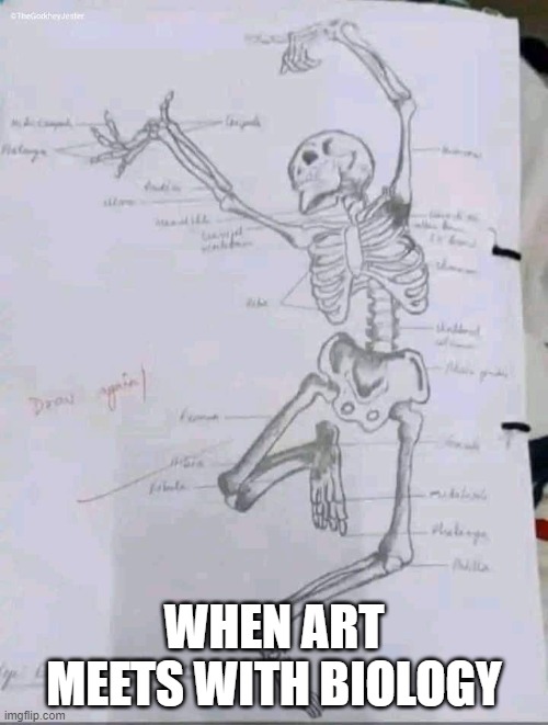 When Art meets with Biology | WHEN ART MEETS WITH BIOLOGY | image tagged in biology | made w/ Imgflip meme maker