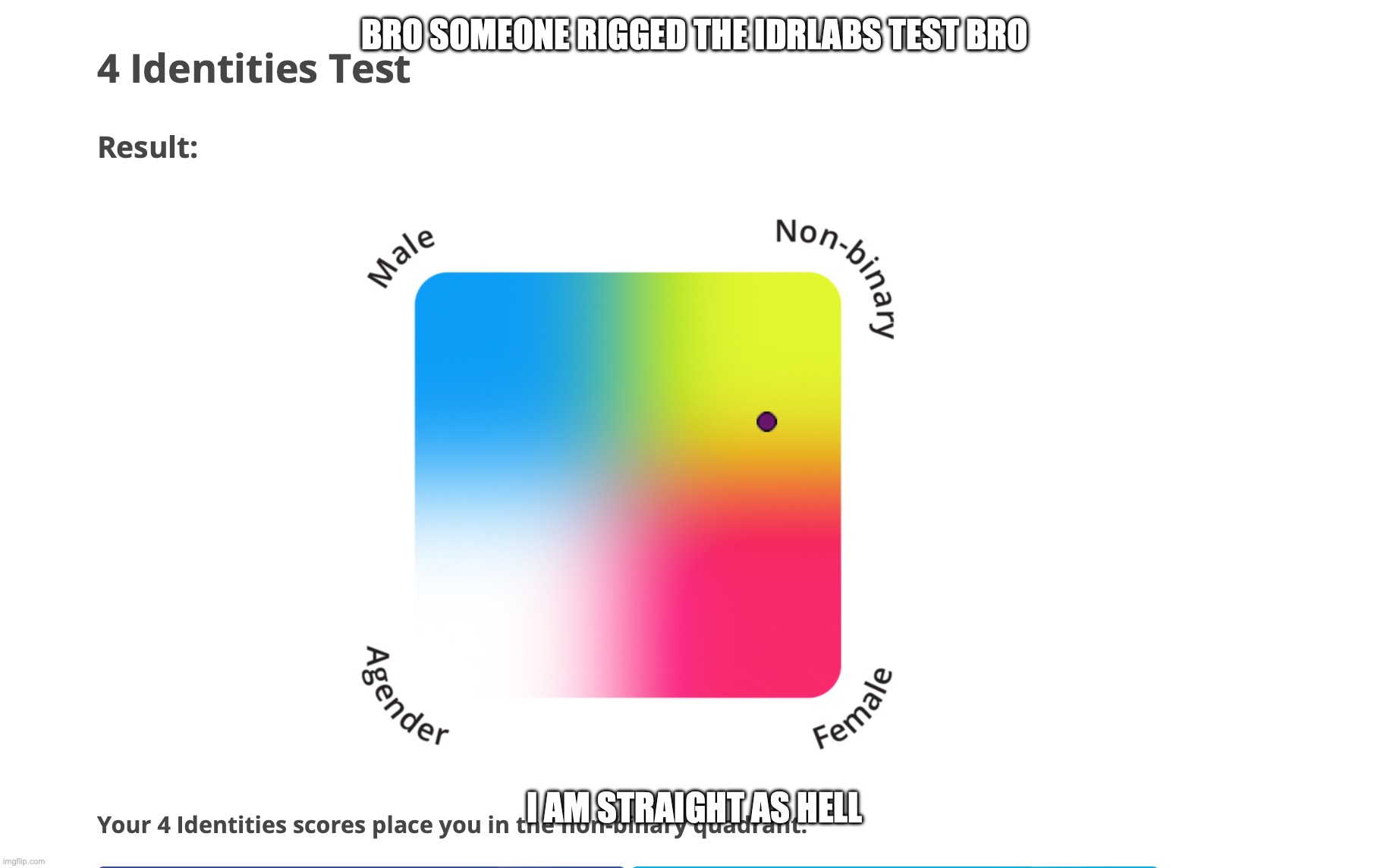 BRO SOMEONE RIGGED THE IDRLABS TEST BRO; I AM STRAIGHT AS HELL | made w/ Imgflip meme maker