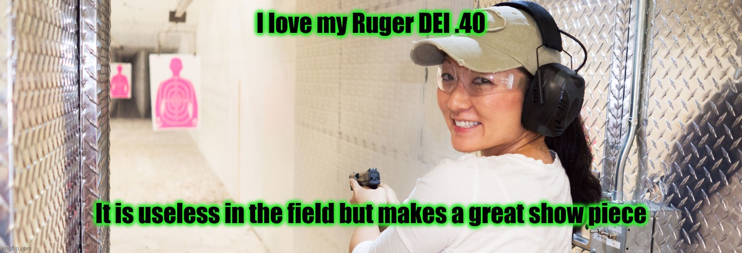 Gun Range | I love my Ruger DEI .40 It is useless in the field but makes a great show piece | image tagged in gun range | made w/ Imgflip meme maker