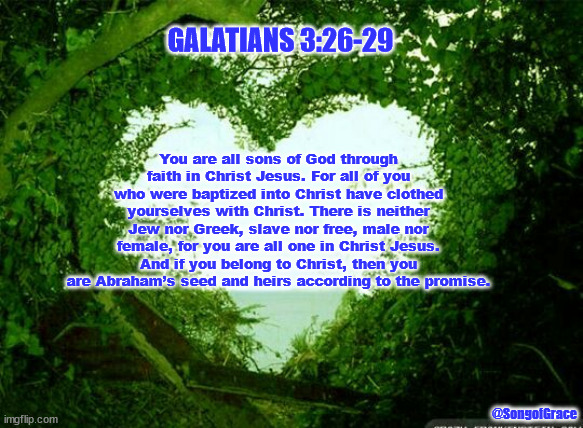 Galatians 3:26-29 | GALATIANS 3:26-29; You are all sons of God through faith in Christ Jesus. For all of you who were baptized into Christ have clothed yourselves with Christ. There is neither Jew nor Greek, slave nor free, male nor female, for you are all one in Christ Jesus. And if you belong to Christ, then you are Abraham’s seed and heirs according to the promise. @SongofGrace | image tagged in nature heart | made w/ Imgflip meme maker