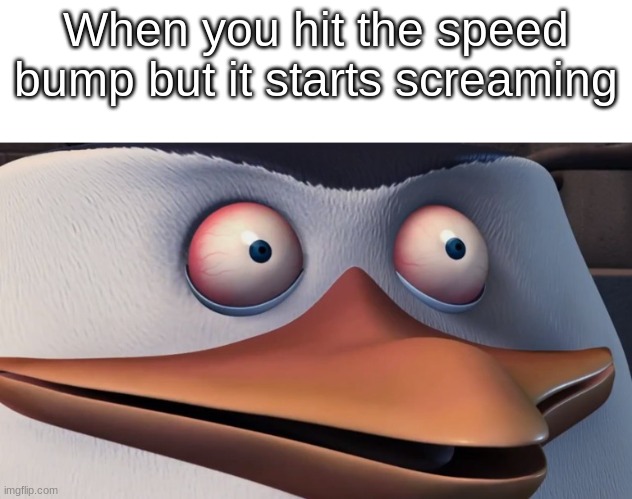 dang it, not again! | When you hit the speed bump but it starts screaming | image tagged in penguins of madagascar skipper red eyes,oh no | made w/ Imgflip meme maker