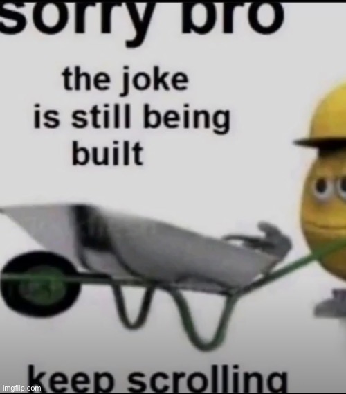 Sorry bro the joke is still being built keep scrolling | image tagged in sorry bro the joke is still being built keep scrolling | made w/ Imgflip meme maker