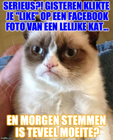 Grumpy Cat Meme | SERIEUS?! GISTEREN KLIKTE JE "LIKE" OP EEN FACEBOOK FOTO VAN EEN LELIJKE KAT... EN MORGEN STEMMEN IS TEVEEL MOEITE? | image tagged in memes,grumpy cat | made w/ Imgflip meme maker