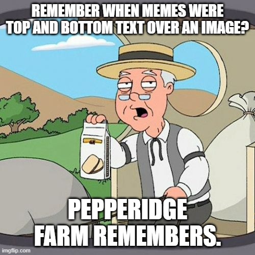 I remember all memes being like this pretty much. | REMEMBER WHEN MEMES WERE TOP AND BOTTOM TEXT OVER AN IMAGE? PEPPERIDGE FARM REMEMBERS. | image tagged in memes,pepperidge farm remembers | made w/ Imgflip meme maker