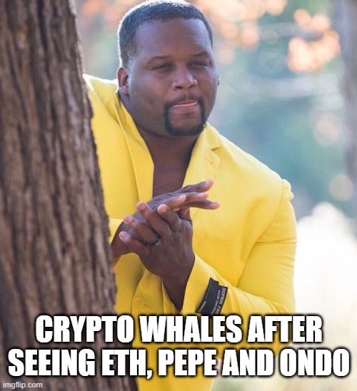 Black guy hiding behind tree | CRYPTO WHALES AFTER SEEING ETH, PEPE AND ONDO | image tagged in black guy hiding behind tree | made w/ Imgflip meme maker