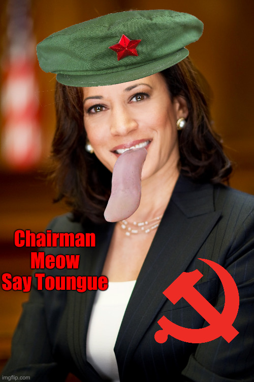 Chairman Meow | Chairman
Meow Say Toungue | image tagged in kamala harris,political meme,politics,funny memes,funny | made w/ Imgflip meme maker