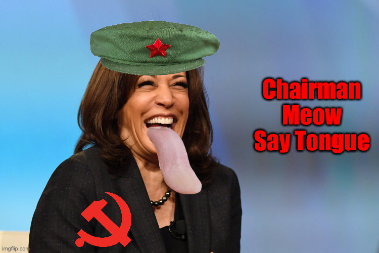 Say Whaaaaa ! | Chairman Meow Say Tongue | image tagged in kamala harris laughing,political meme,politics,funny memes,funny | made w/ Imgflip meme maker