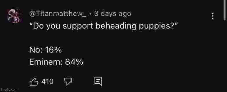 “Do you support beheading puppies?” | image tagged in memes,funny,polls,eminem | made w/ Imgflip meme maker