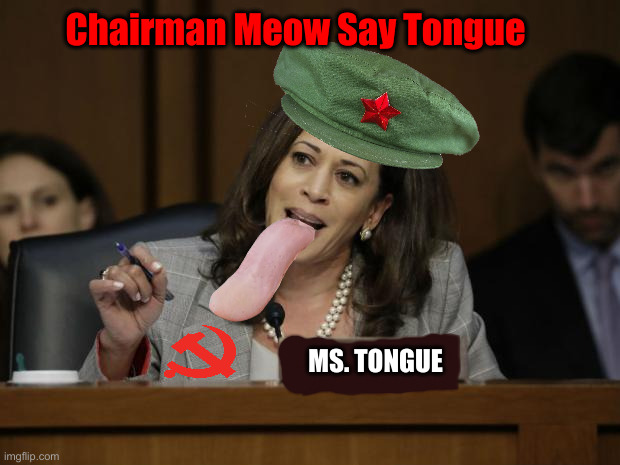 For The People, Lol | Chairman Meow Say Tongue; MS. TONGUE | image tagged in kamala harris,political meme,politics,funny memes,funny,communism | made w/ Imgflip meme maker