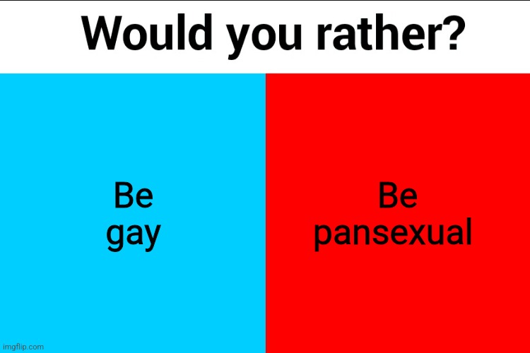 Would you rather? | Be gay; Be pansexual | image tagged in would you rather | made w/ Imgflip meme maker