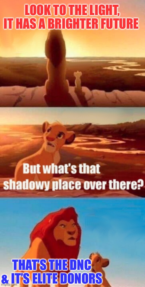 Transparent governance vs closed door politics | LOOK TO THE LIGHT, IT HAS A BRIGHTER FUTURE; THAT’S THE DNC & IT’S ELITE DONORS | image tagged in memes,simba shadowy place | made w/ Imgflip meme maker