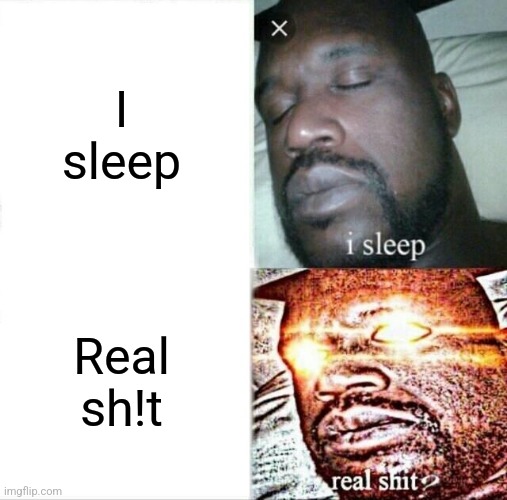 Literal meme | I sleep; Real sh!t | image tagged in memes,sleeping shaq | made w/ Imgflip meme maker