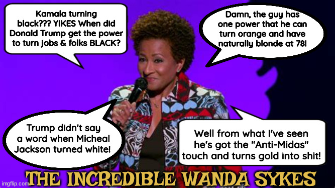 The Incredible Wanda Sykes | Damn, the guy has one power that he can turn orange and have naturally blonde at 78! Kamala turning black??? YIKES When did Donald Trump get the power to turn jobs & folks BLACK? Trump didn't say a word when Micheal Jackson turned white! Well from what I've seen he's got the "Anti-Midas" touch and turns gold into shit! THE INCREDIBLE WANDA SYKES | image tagged in the incredible wanda sykes,anti-trump weapon,the bernie sanders of comics,luv wanda,maga manipulator,no laughing matter | made w/ Imgflip meme maker