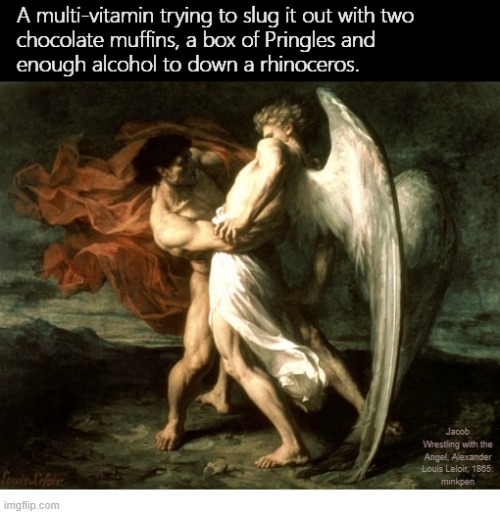 Healthy | image tagged in artmemes,jacob,angel,multivitamin,junk food,wrestling | made w/ Imgflip meme maker