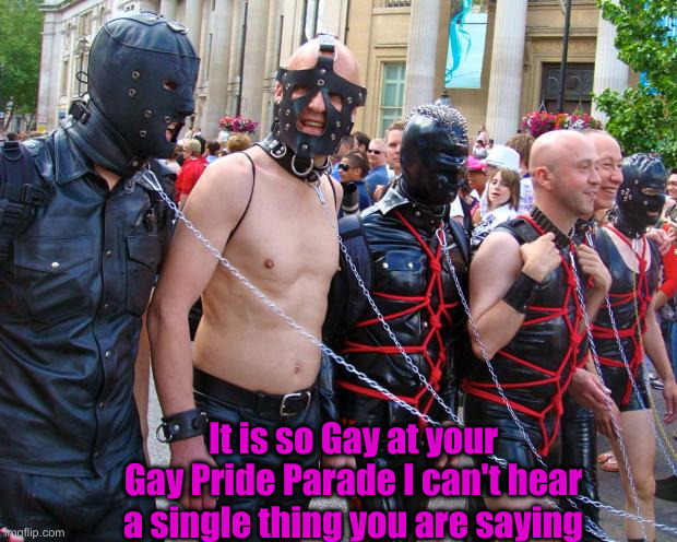 Gay Pride | It is so Gay at your Gay Pride Parade I can't hear a single thing you are saying | image tagged in gay pride | made w/ Imgflip meme maker