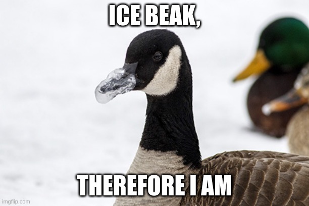 Nope never | ICE BEAK, THEREFORE I AM | image tagged in when you see it,duck | made w/ Imgflip meme maker