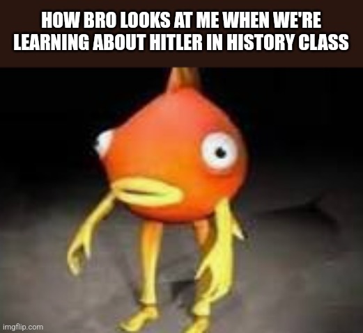 Bruh | HOW BRO LOOKS AT ME WHEN WE'RE LEARNING ABOUT HITLER IN HISTORY CLASS | made w/ Imgflip meme maker