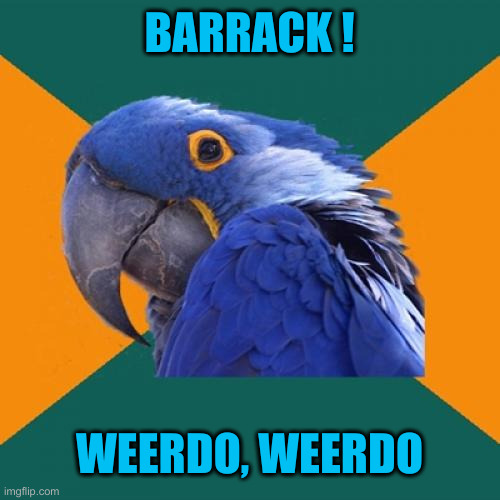 Brok ! Barrack ! | BARRACK ! WEERDO, WEERDO | image tagged in memes,paranoid parrot,political meme,politics,funny memes,funny | made w/ Imgflip meme maker