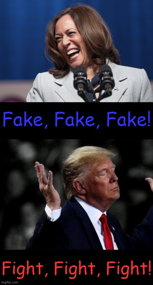 One fell out of a coconut tree and one is a strong patriot... | Fake, Fake, Fake! Fight, Fight, Fight! | image tagged in kamala harris,laughing,donald trump,patriot,choices,political humor | made w/ Imgflip meme maker