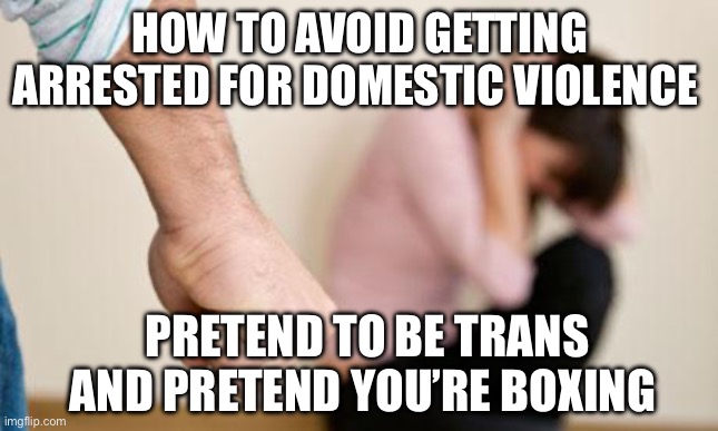 Domestic Abuse | HOW TO AVOID GETTING ARRESTED FOR DOMESTIC VIOLENCE; PRETEND TO BE TRANS AND PRETEND YOU’RE BOXING | image tagged in domestic abuse,transgender,boxing,sports | made w/ Imgflip meme maker