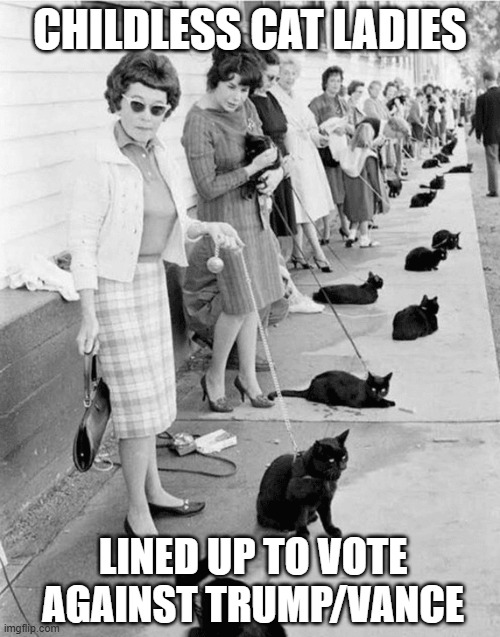 Childless Cat Ladies  lined up to vote against Trump/Vance | CHILDLESS CAT LADIES; LINED UP TO VOTE AGAINST TRUMP/VANCE | image tagged in childless cat ladies lined up to vote against trump/vance,election,republican,democrat,authoritarian,women's rights | made w/ Imgflip meme maker