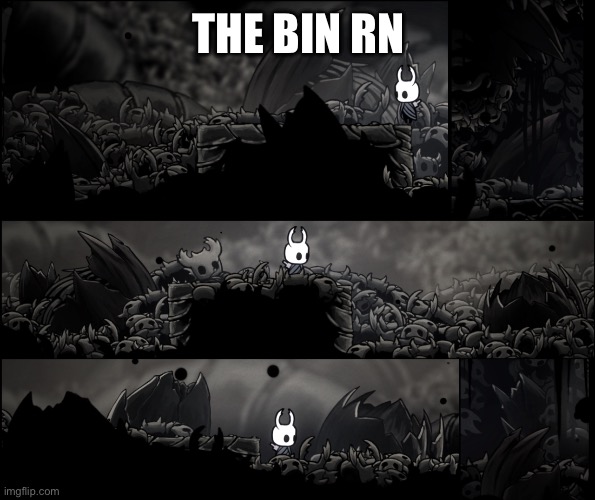 THE BIN RN | made w/ Imgflip meme maker