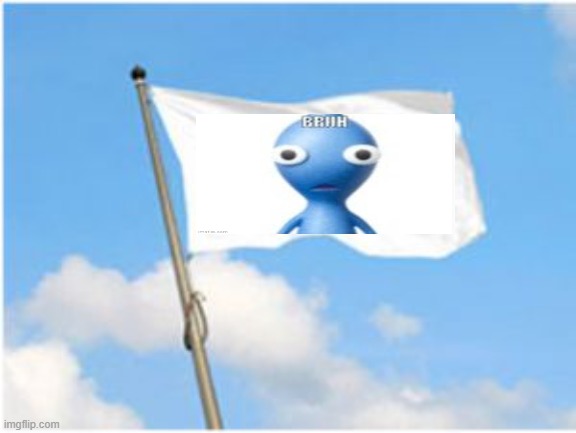 the bruh flag | image tagged in white flag | made w/ Imgflip meme maker