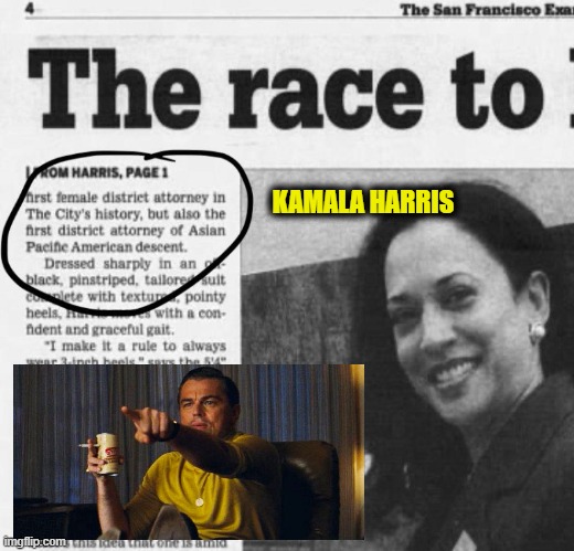 Fair Weather Labels | KAMALA HARRIS | image tagged in kamala | made w/ Imgflip meme maker